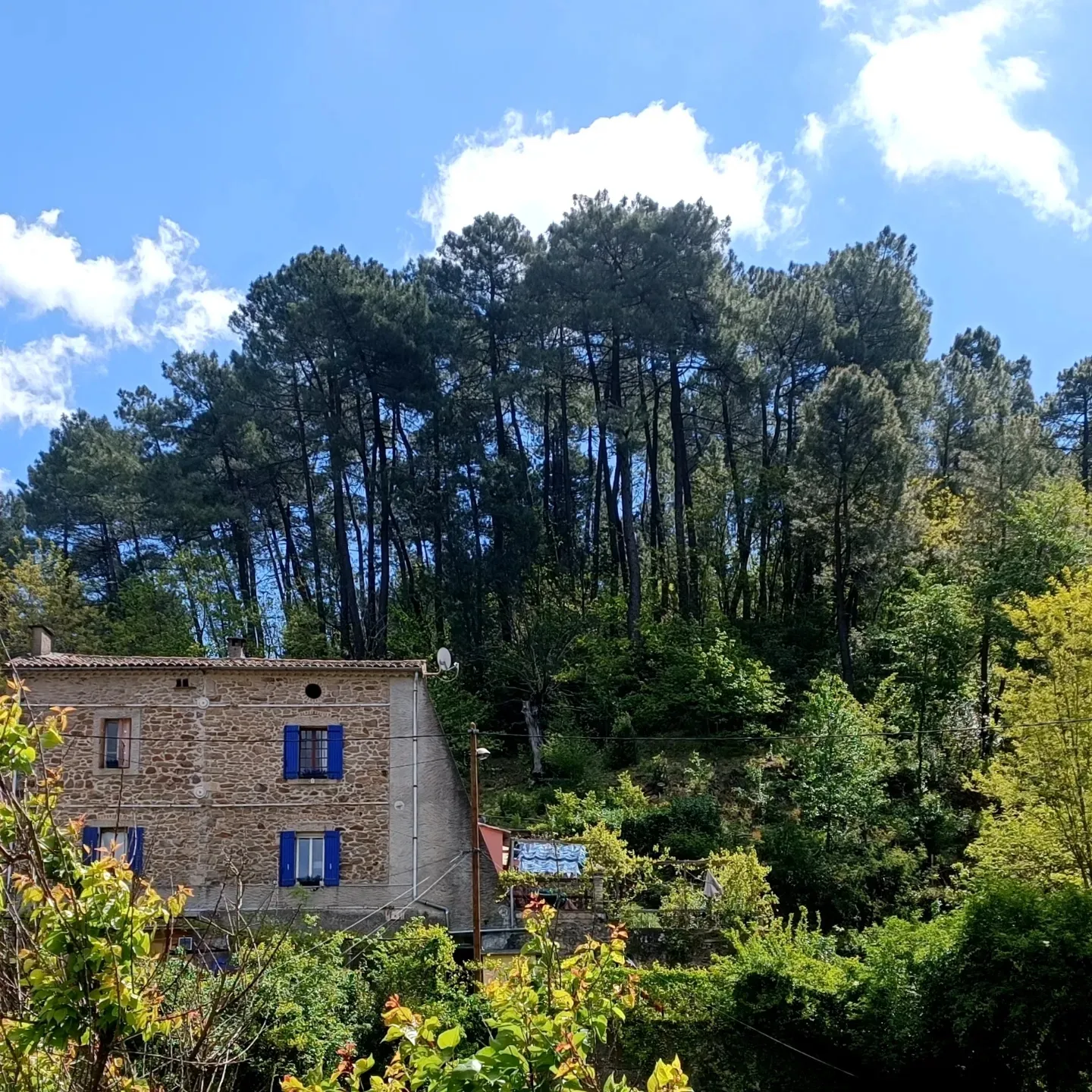 Huis in combinatie met een workshop of cursus in Frankrijk te huur: Maison Mimosa Super rustig vakantiehuis aan de rand van het bos 