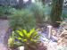 Water kunstwerkje en mooie beplanting