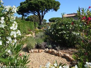 vakantiehuis in Frankrijk te huur: gerieflijke vakantiewoning (vue mer) vlakbij St Tropez 