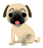 Uw hond meenemen naar Frankrijk? U kunt bij ons tientallen vakantiehuizen in Frankrijk vinden waar huisdieren zijn toegestaan.