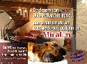 Vakantiehuizen in Frankrijk te huur in de Gers