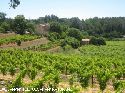 Vakantiewoning Zuid Frankrijk  te huur in de regio Provence Alpen Cote d'Azur en het departement Var
