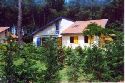 Vakantiewoning Zuid Frankrijk  te huur in de regio Aquitaine en het departement Landes