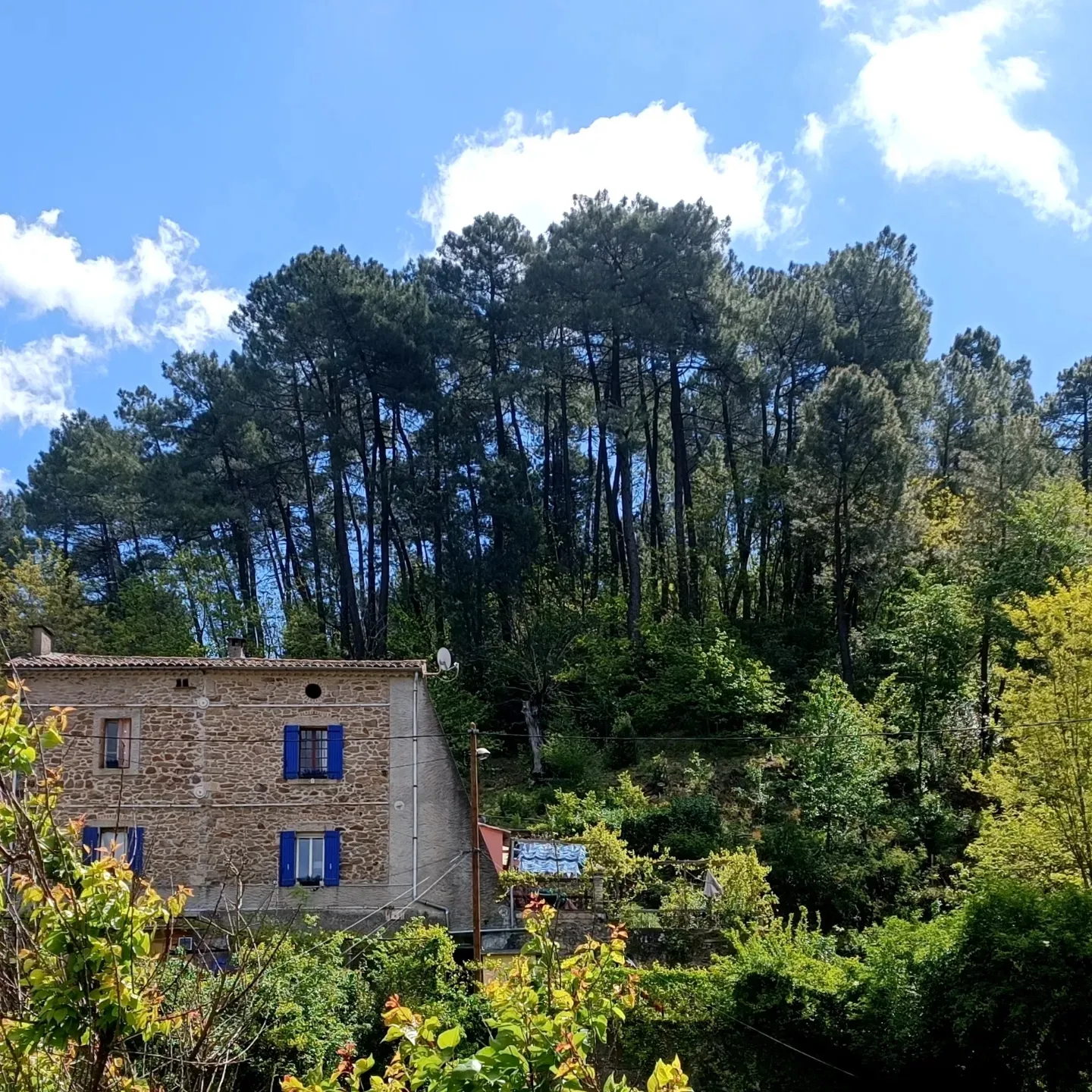 Vakantiehuis: Maison Mimosa Super rustig vakantiehuis aan de rand van het bos te huur in Gard (Frankrijk)