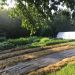 Bloementuin in vroege lente <br>De een jarige bloemenbedden, deels ingezaaid