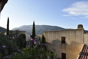 TERRAS Ochtendgloren
