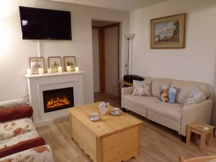 De elektrische haard