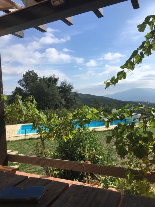 Terras met druiven tegen de pergola <br>Hier ziet u het zwembad vanaf het terras door de druivenstokken heen.