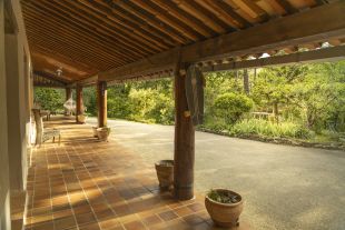 Uitzicht op de tuin vanaf het huis