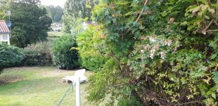 De ruime tuin met veel privacy