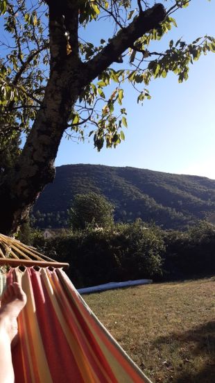relaxen vanuit een hangmat in de achtertuin