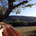 relaxen vanuit een hangmat in de achtertuin