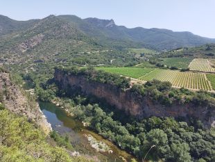 River Orb - view from Ceps