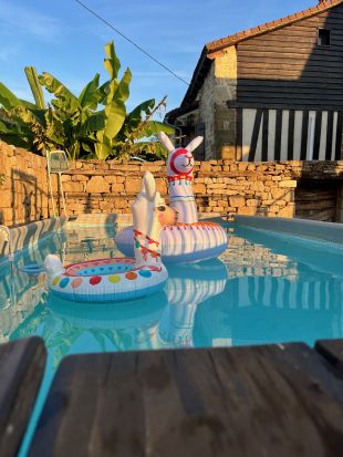 Zwembad met alpaca zwembanden