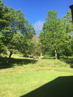 Uitzicht achterzijde