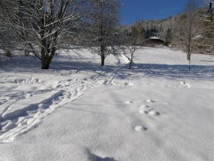 Uitzicht achterzijde <br>Uitzicht achterzijde winter