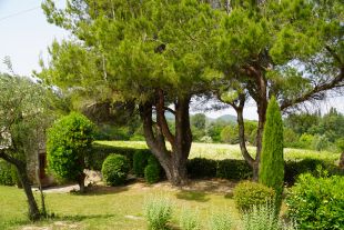 Tuin aan de westzijde