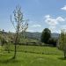 vakantiehuis Puy de Dome
