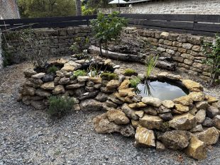 zicht op de tuin vanaf veranda