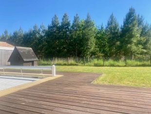 View at the back onto the forest
