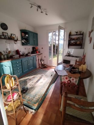 Bellevue Funky kitchen