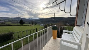 The view