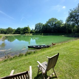 Prachtige visvijver op het domein