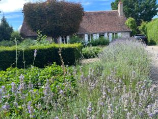 Beddes – Sfeervol gerenoveerde woning met karakter en prachtig terrein van 6685m²  ** NIEUW **