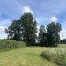 achtertuin