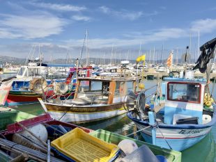 De oude haven