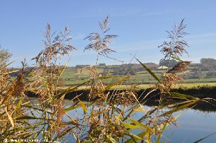 (Vakantie) woning: Heerlijk vrijstaand huis met romantische tuin, uitzicht over de heuvels. te huur in Ardennes (Frankrijk)