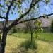 achtertuin