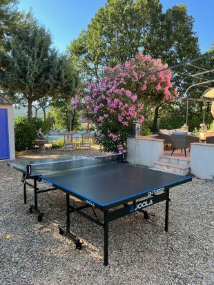 pingpongtafel, balletjes en batjes zijn aanwezig