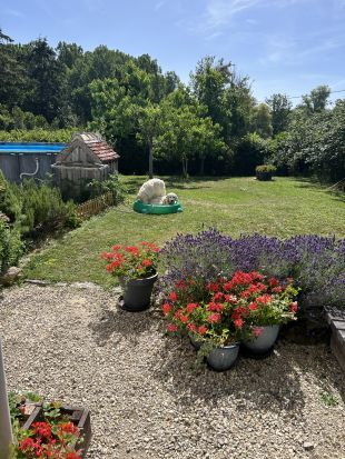 A sunny day