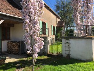 In the Springtime