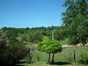 Uitzicht op Forêt des Colettes