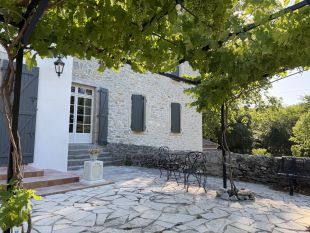 Pergola met druiven