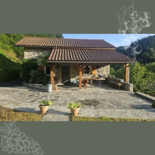 terras achterkant