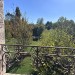 achtertuin