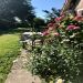 de tuin