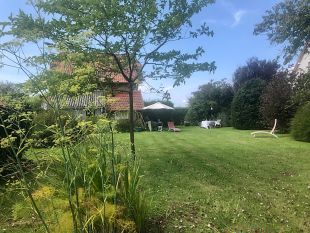 Tuin met zicht op het huis.