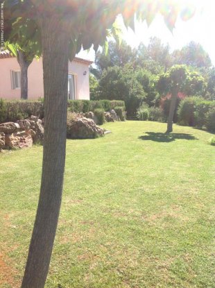 aangelegde tuin met moerbeibomen en beregening voor de planten, de bloemen en het gras