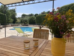 zwembad met overkapt terras