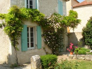 Inkom met wisteria en klimrozen