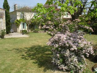 Tuin in de lente met zicht op het huis