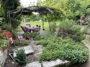 Overdekt terras met zicht op de tuin