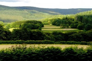 Uitzicht over de vallei