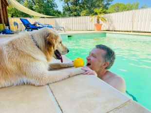 Honden ook toegelaten