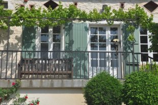 Op de bolet onder de druivelaar