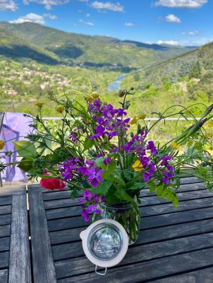 Uitzicht over het dal